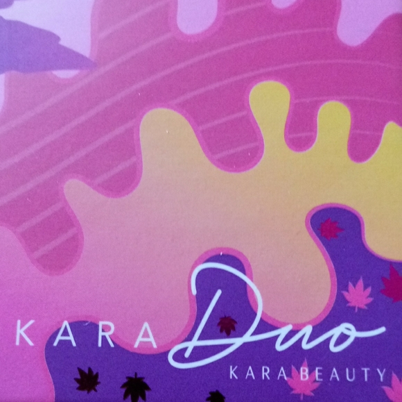 New Kara Purple Haze eye Shadow makeup CD Leaf palette - Picture 4 of 6